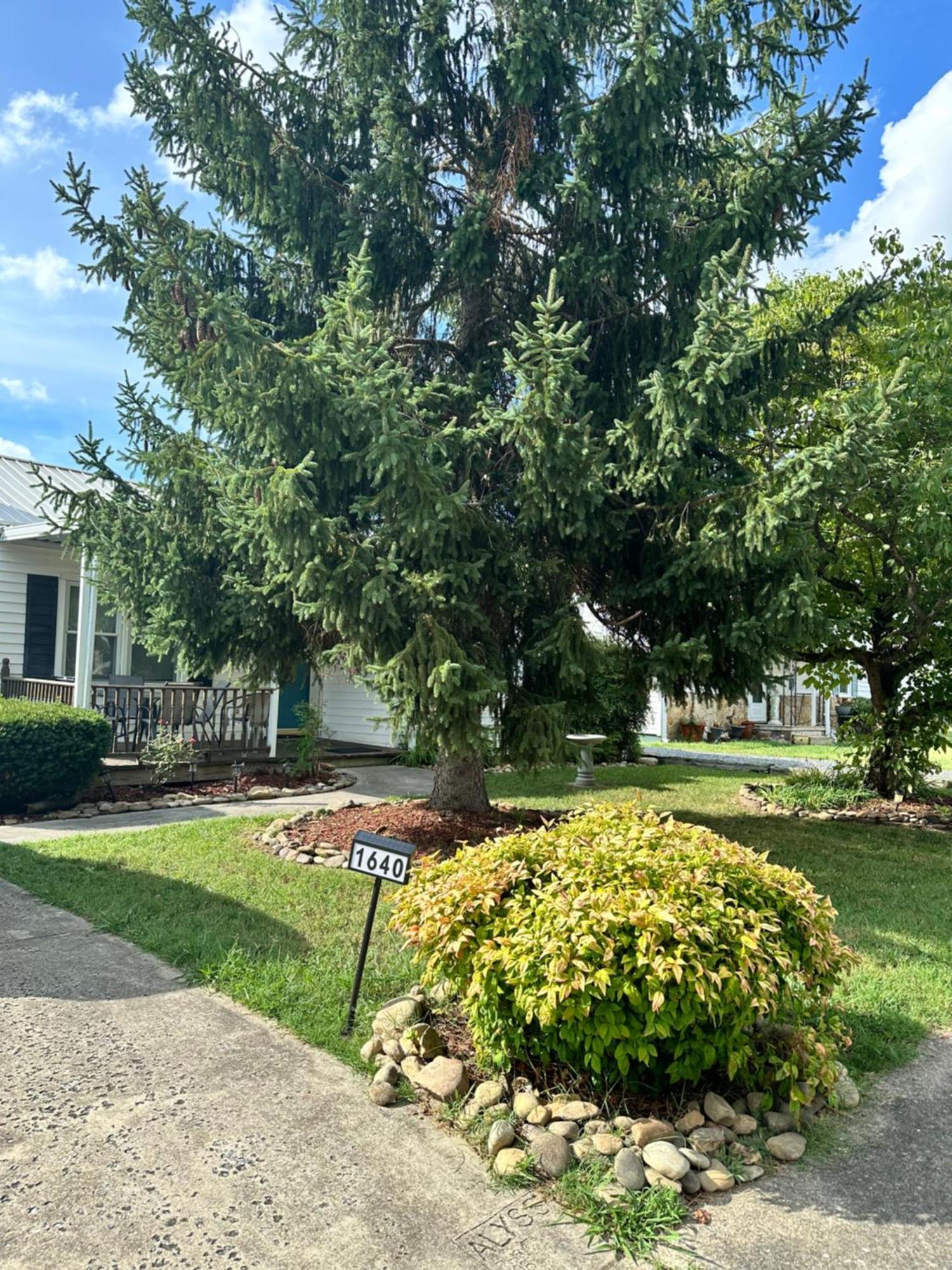 Home Away From Home Kingsport Extérieur photo